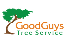 Good Guys Tree Service
